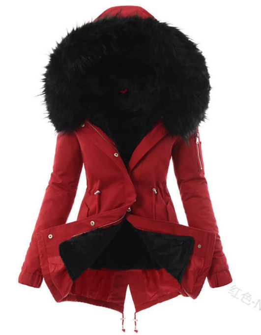 Beautifully Crafted Jacket