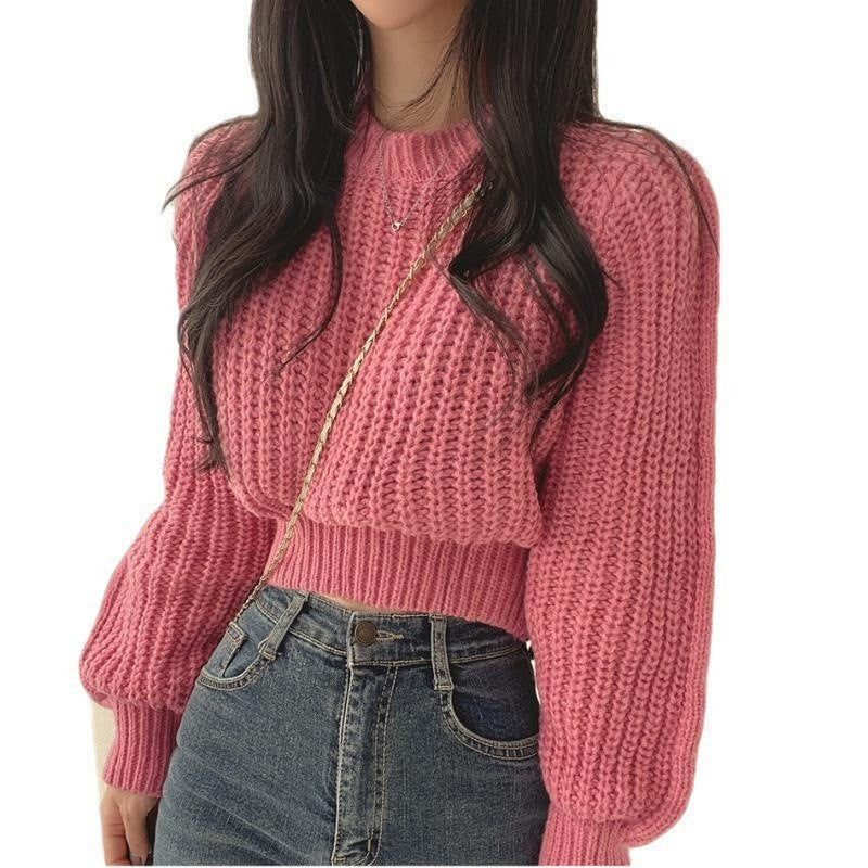 Classic Designed Sweater