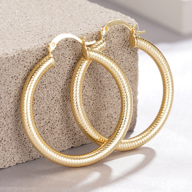 Stunning Earring for Daily Wear