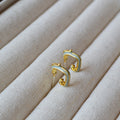 Charming Silver Earring for Any Occasion