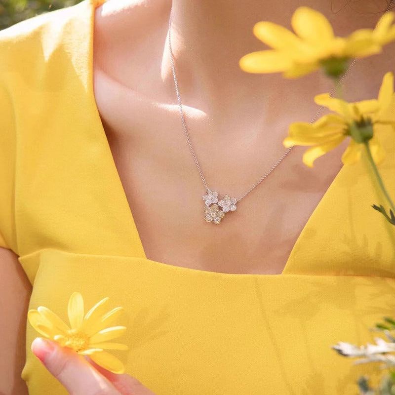 Stunning Set for Daily Wear