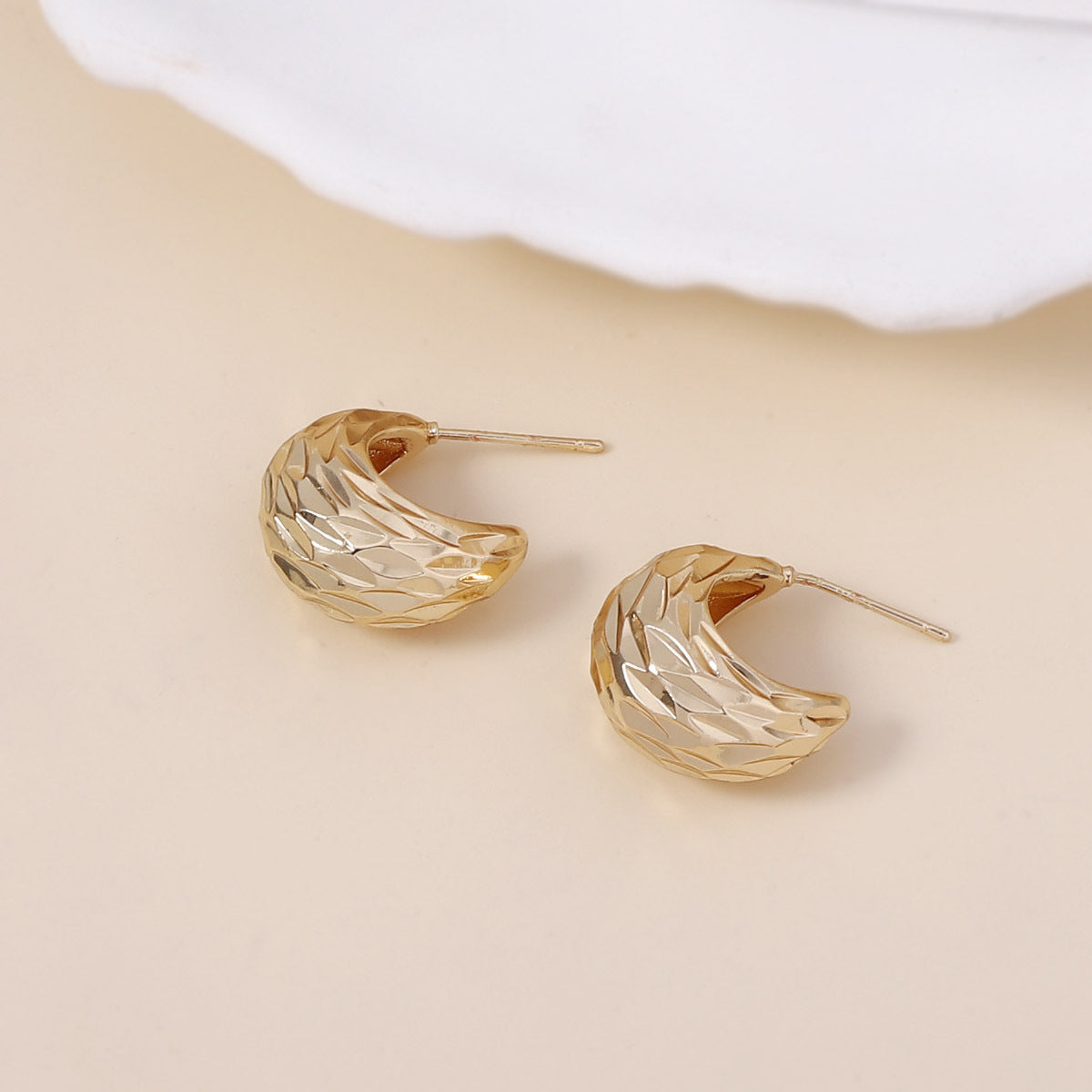 Charming Earring for Any Occasion