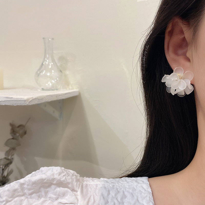 Charming Earring for Any Occasion