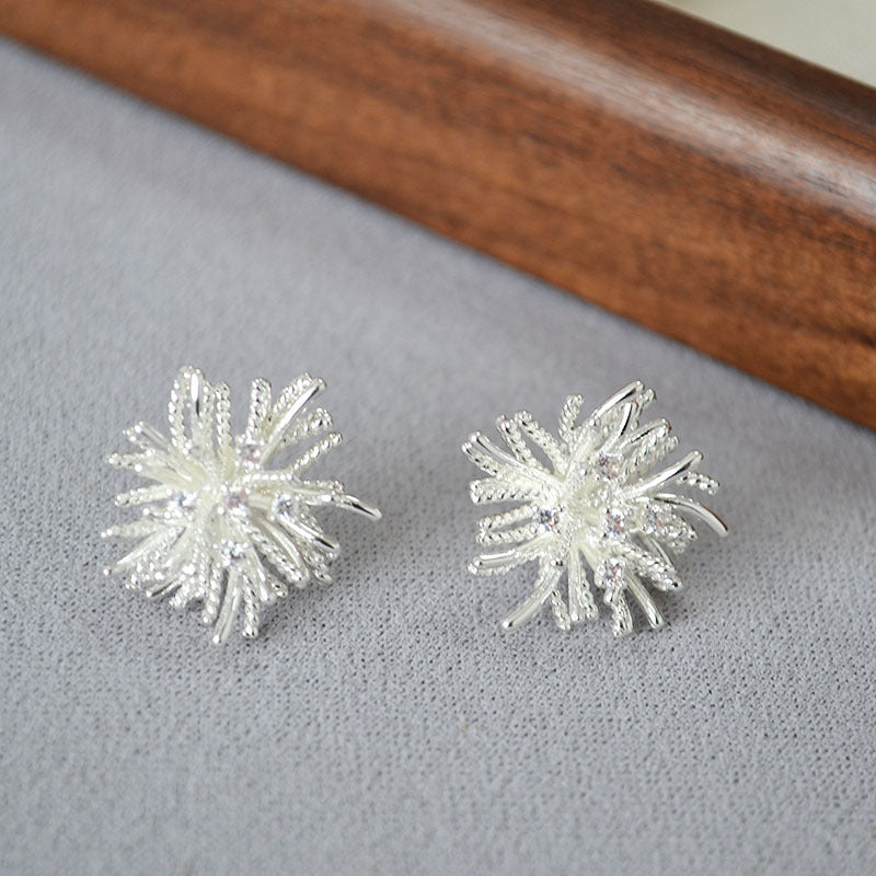 Beautiful Silver Earring with Unique Style