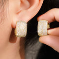 Charming Earring for Any Occasion