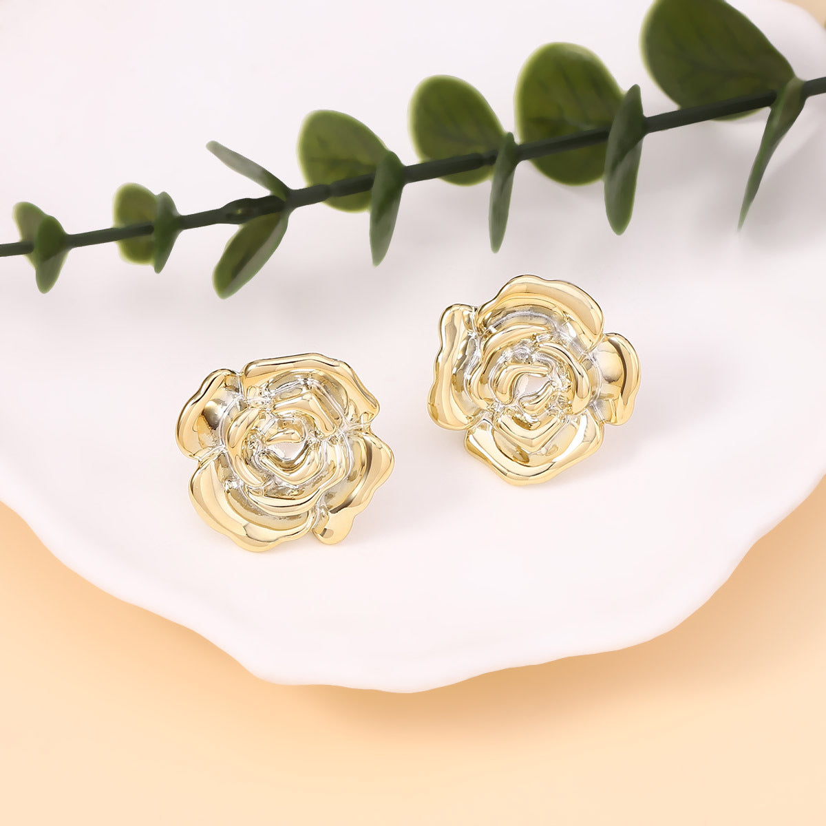 Beautiful Earring with Unique Style