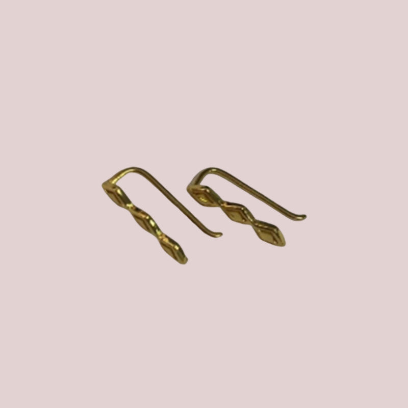 Classic Earring with Timeless Appeal