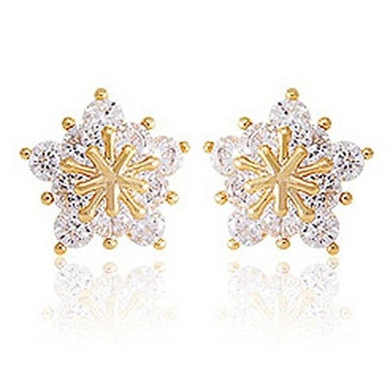 Classic Earring with Timeless Appeal