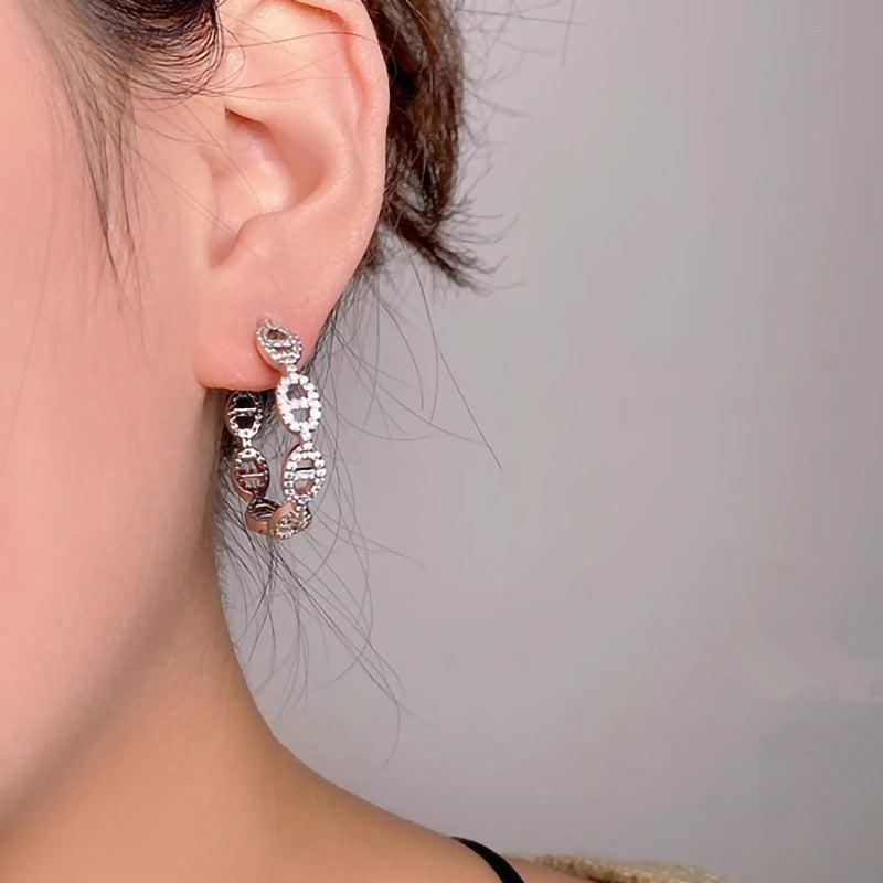 Charming Earring for Any Occasion