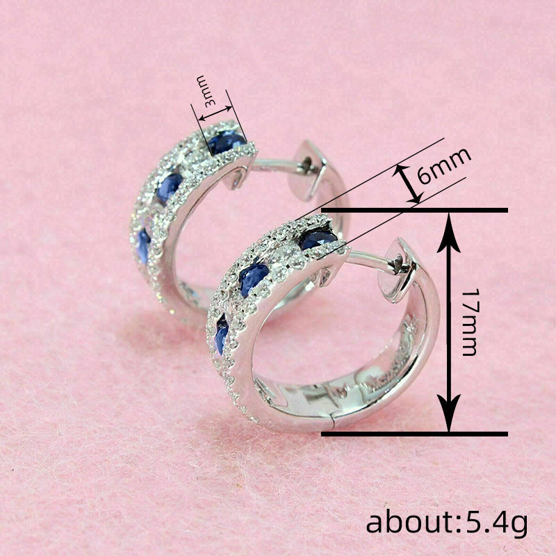 Charming Earring for Any Occasion