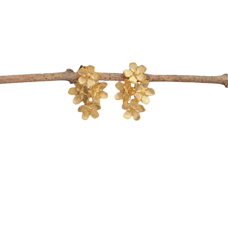 Charming Earring for Any Occasion
