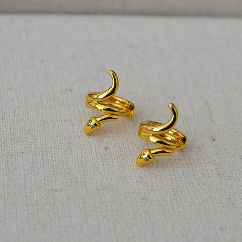 Charming Gold Earring for Any Occasion