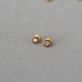 Classic Silver Earring with Timeless Appeal