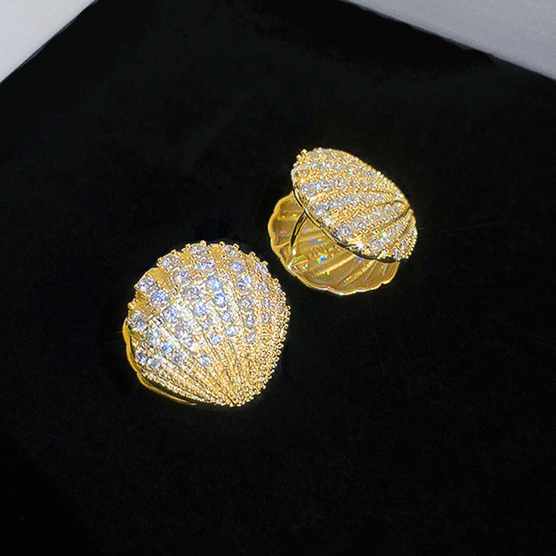 Charming Earring for Any Occasion