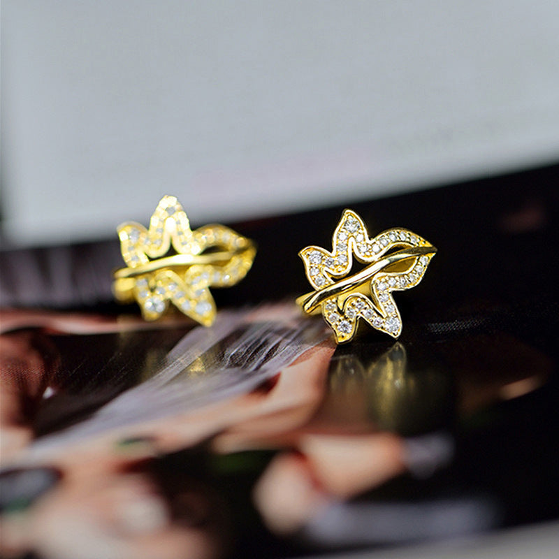 Charming Earring for Any Occasion