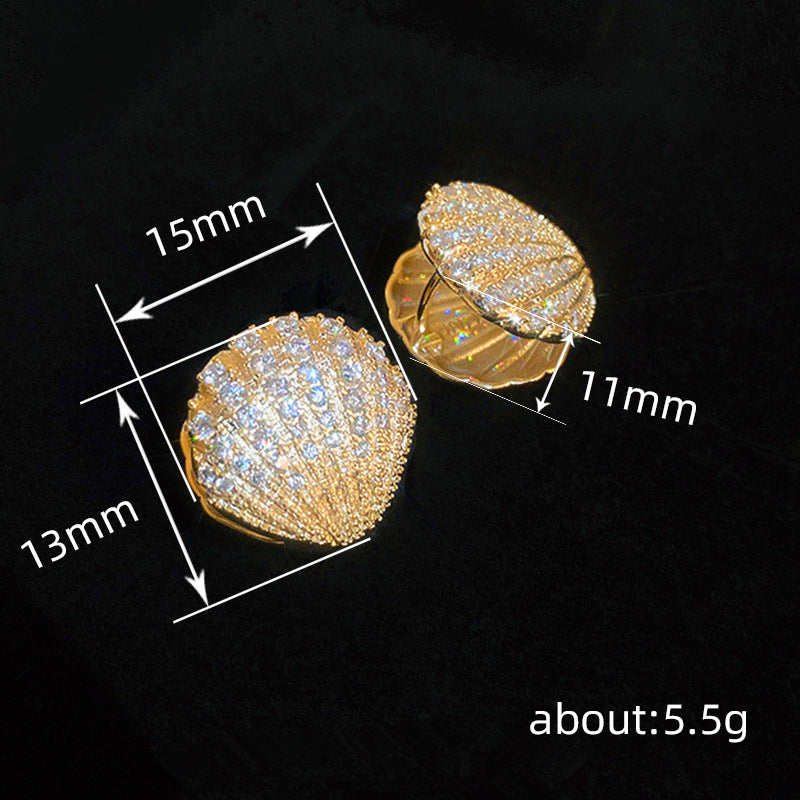 Charming Earring for Any Occasion