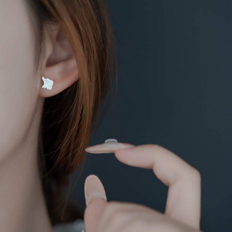 Elegant Earring for Every Occasion
