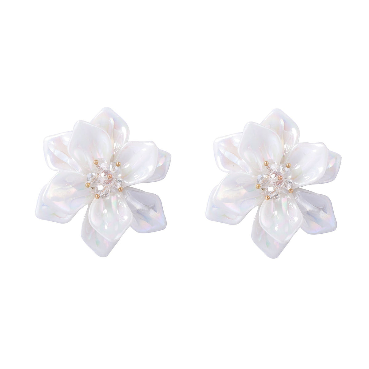 Charming Earring for Any Occasion
