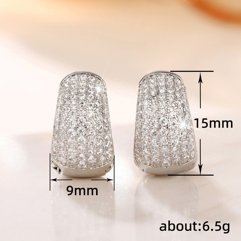 Stunning Earring for Daily Wear