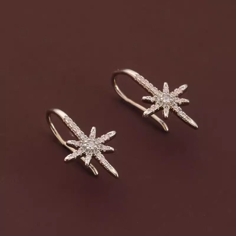 Stunning Earring for Daily Wear