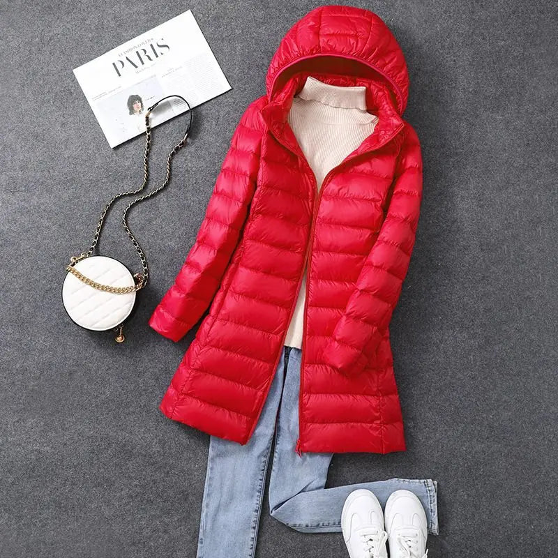 Elegantly Designed Jacket