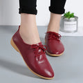 High-Quality Orthopedic Flats