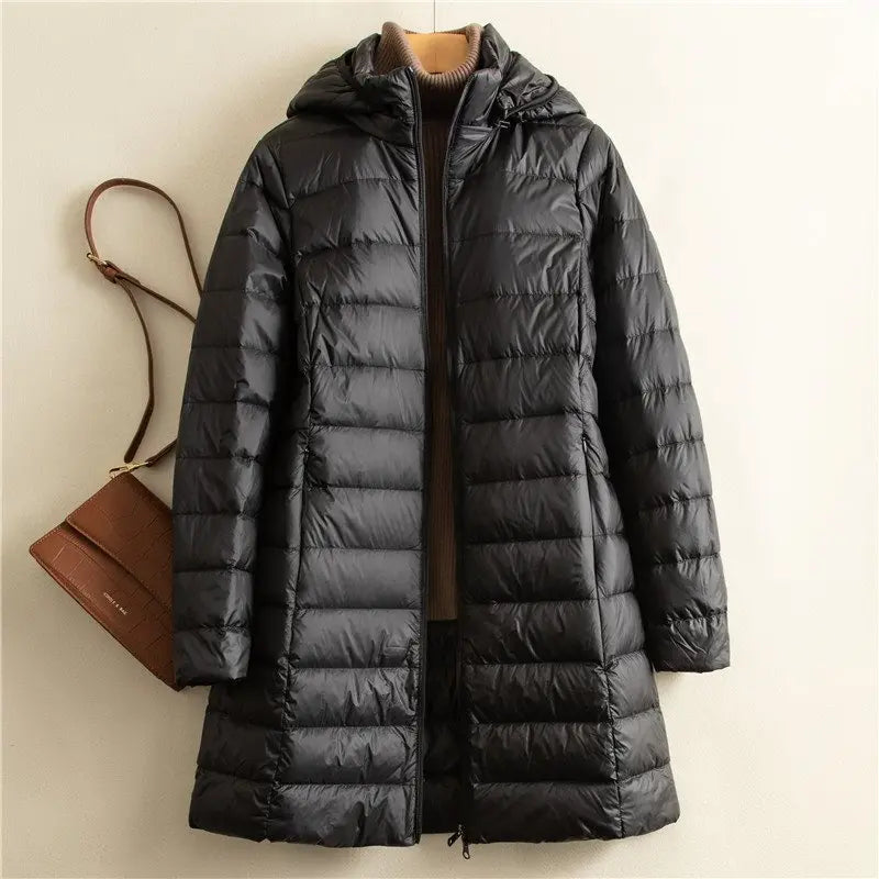 Elegantly Designed Jacket