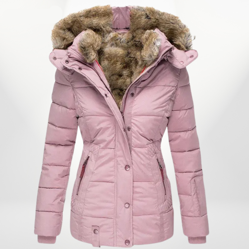 Classic Designed Jacket