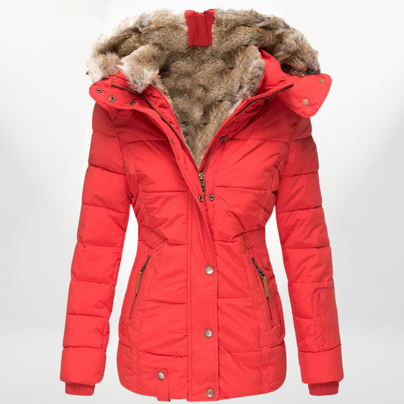 Classic Designed Jacket
