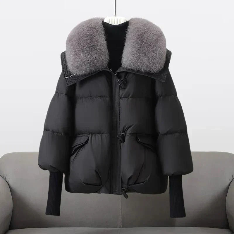 Elegantly Designed Jacket