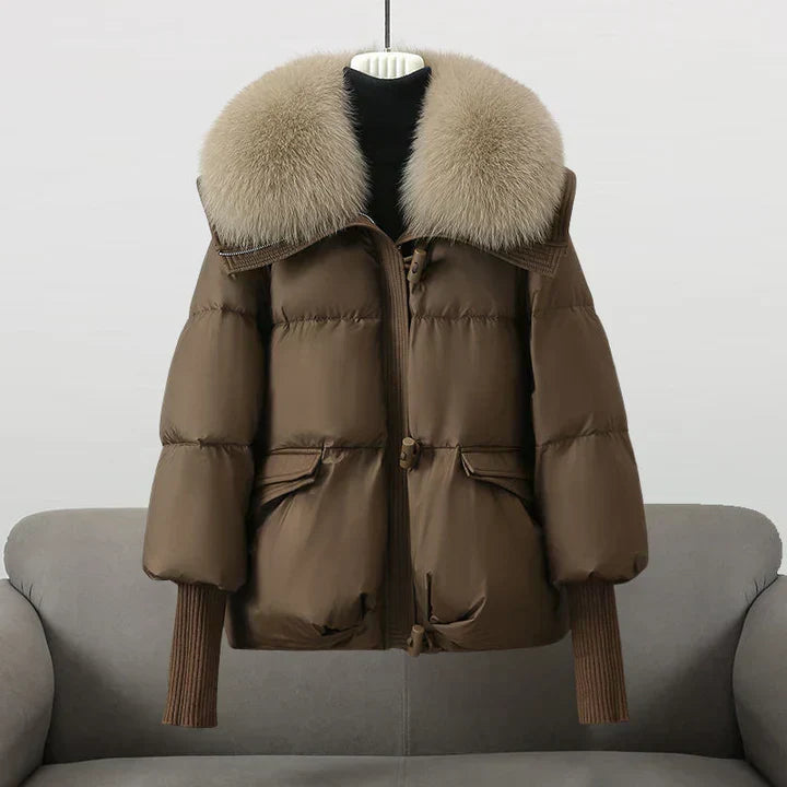 Elegantly Designed Jacket