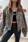 Elegantly Designed Jacket