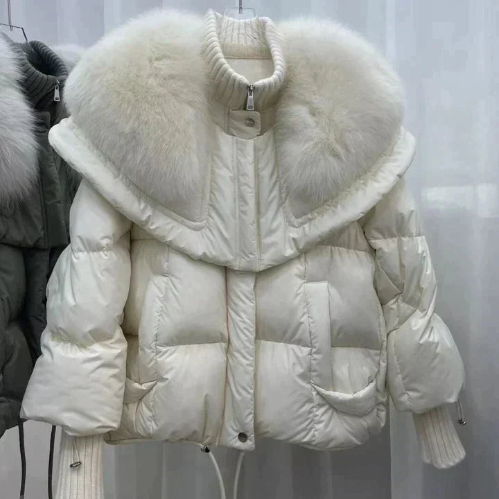 Beautifully Crafted Jacket